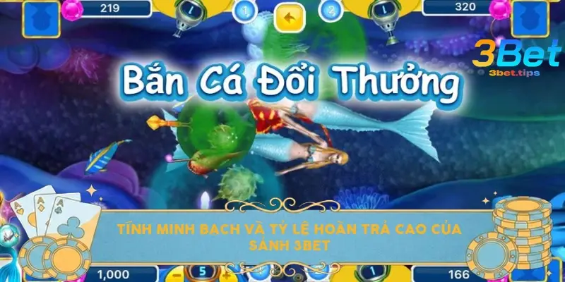 Tính minh bạch và tỷ lệ hoàn trả cao của sảnh 3Bet