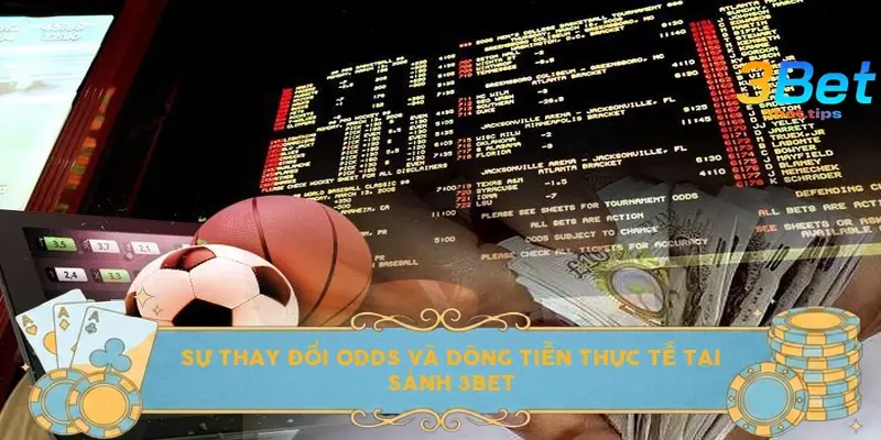 Sự thay đổi Odds và dòng tiền thực tế tại sảnh 3bet