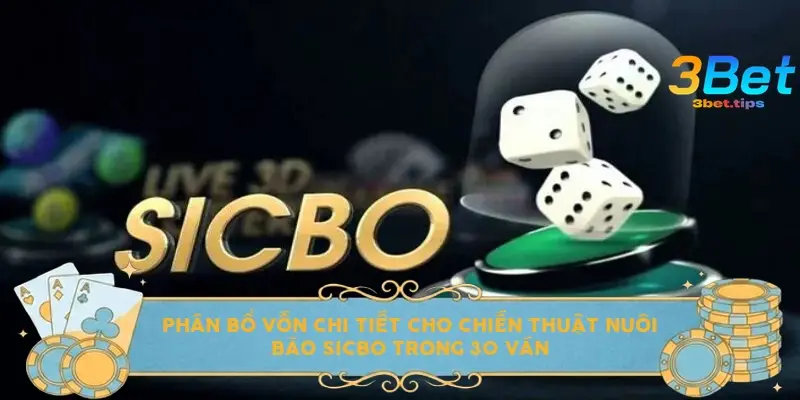 Phân bổ vốn chi tiết cho chiến thuật nuôi bão Sicbo trong 30 ván